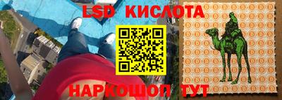 СК Бийск