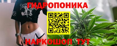 СК Бийск