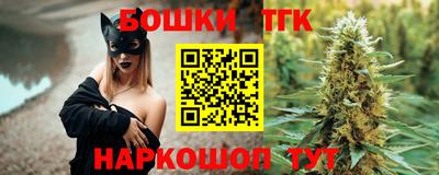 СК Бийск