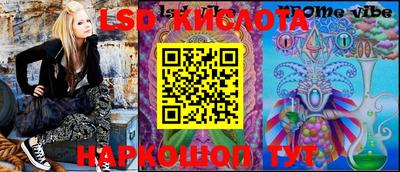 СК Бийск
