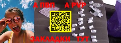 СК Бийск
