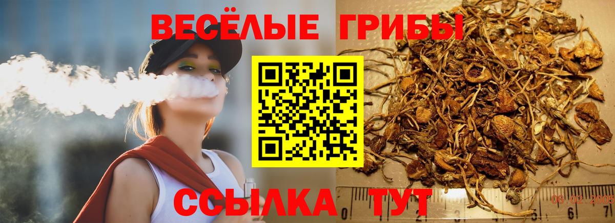 Марихуана  АМФ   КОКАИН  Экстази  Alpha-PVP СОЛЬ кристаллы  Лсд 25  Гашиш  Как найти закладки?  Камышин  ГАШИШ  Мефедрон кристаллы  МДМА  Вход с VPN 