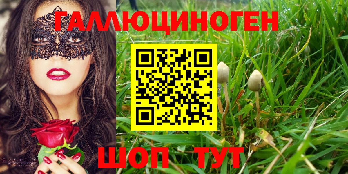 Псилоцибиновые грибы мухоморы  Вход с VPN  Камышин  Галлюциногенные грибы прущие грибы 